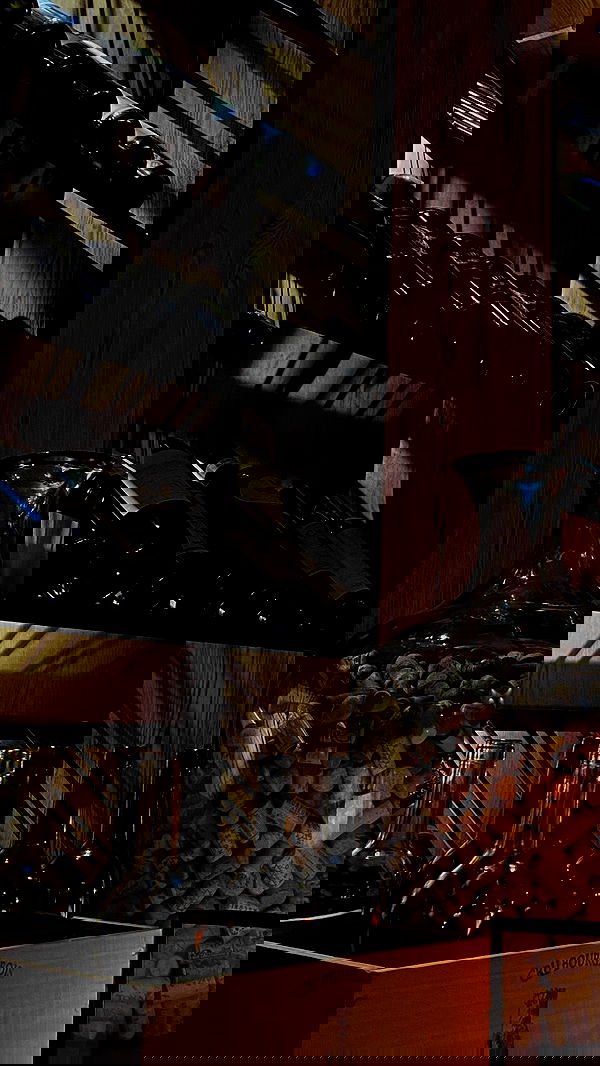 noa_zemlyanski noa_zemlyanski archive image