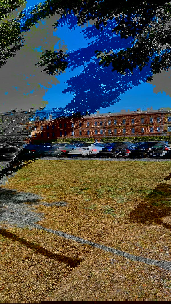 noa_zemlyanski noa_zemlyanski archive image