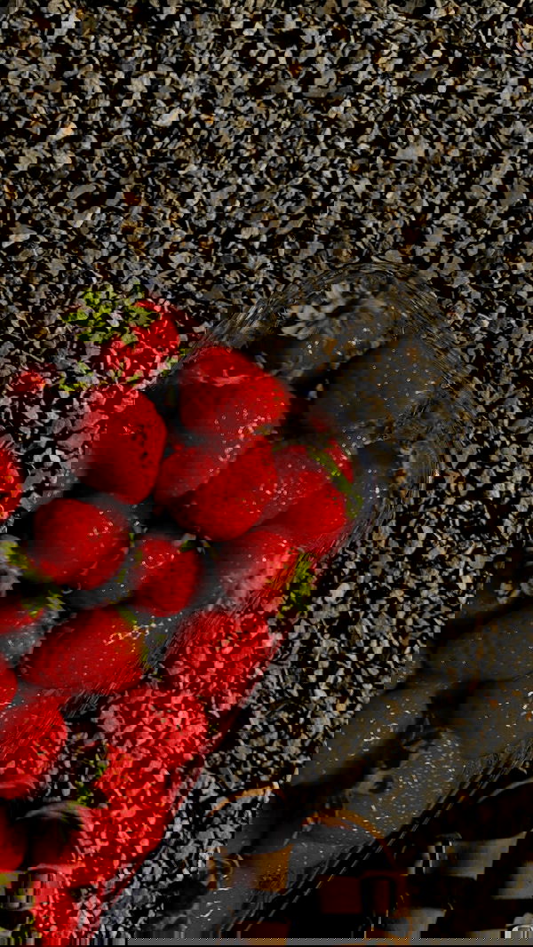 noa_zemlyanski noa_zemlyanski archive image