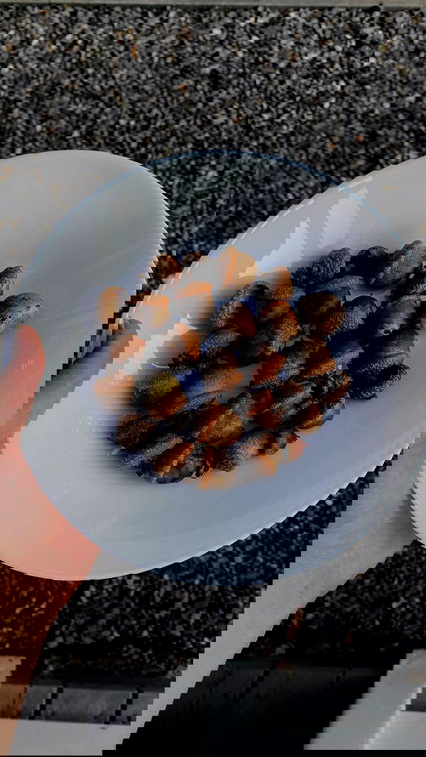 noa_zemlyanski noa_zemlyanski archive image