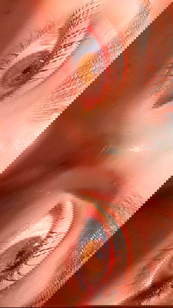 noa_zemlyanski noa_zemlyanski archive image