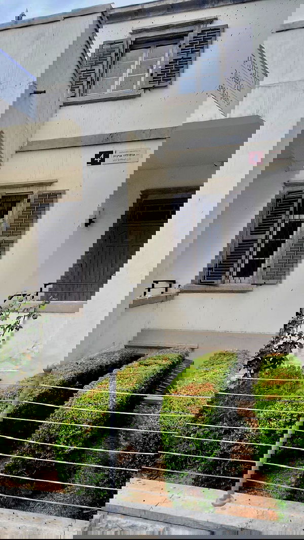 noa_zemlyanski noa_zemlyanski archive image