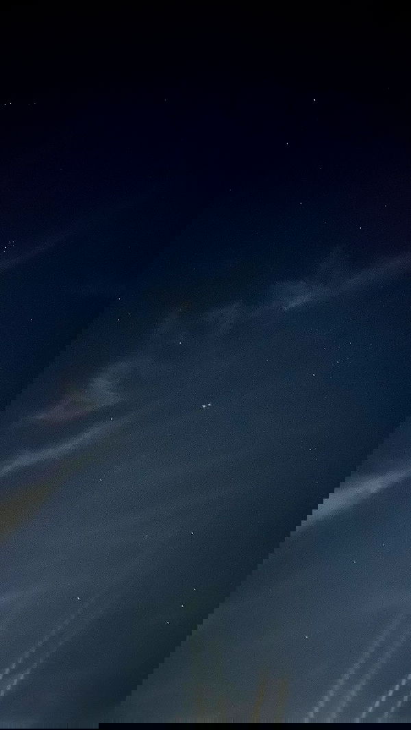 noa_zemlyanski noa_zemlyanski archive image