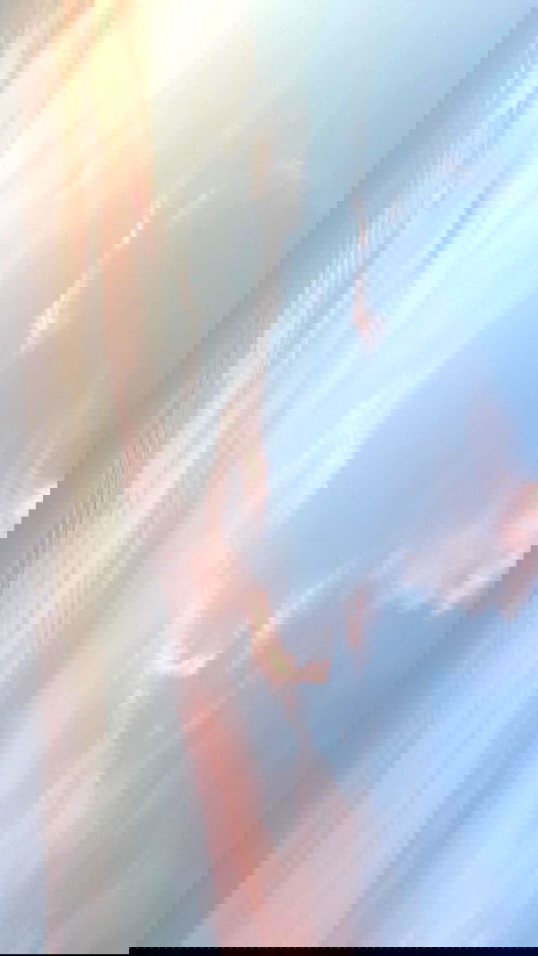 noa_zemlyanski noa_zemlyanski archive image