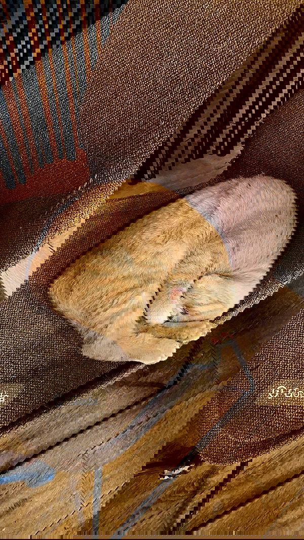 noa_zemlyanski noa_zemlyanski archive image