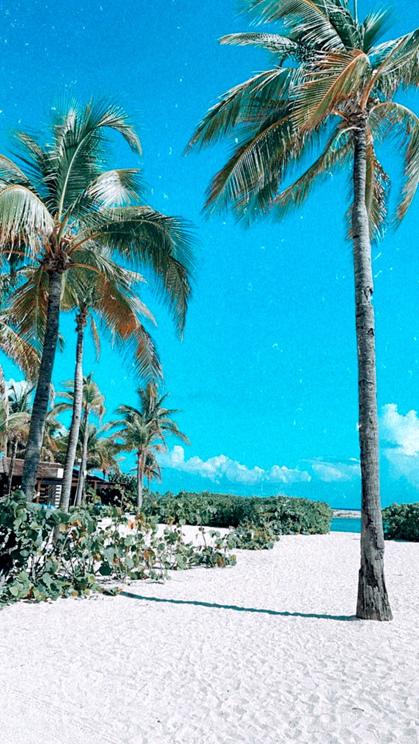 noam_alon1 instagram image archive image