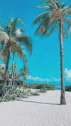 noam_alon1 Altpins Profile Picture