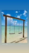 noam_alon1 Altpins Profile Picture