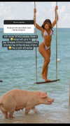 noam_alon1 Altpins Profile Picture
