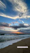 noam_alon1 Altpins Profile Picture