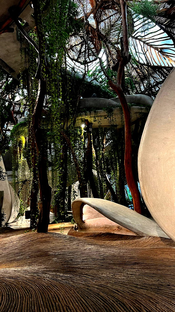 noam_alon1 instagram image archive image