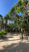 noam_alon1 Altpins Profile Picture