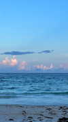 noam_alon1 Altpins Profile Picture