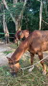 noam_alon1 Altpins Profile Picture