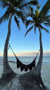 noam_alon1 Altpins Profile Picture
