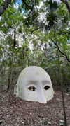 noam_alon1 Altpins Profile Picture