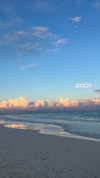 noam_alon1 Altpins Profile Picture