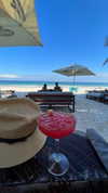 noam_alon1 Altpins Profile Picture