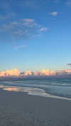 noam_alon1 Altpins Profile Picture