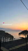 noam_alon1 Altpins Profile Picture