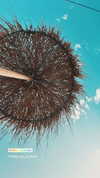 noam_alon1 Altpins Profile Picture