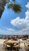 noam_alon1 Altpins Profile Picture