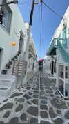 noam_alon1 Altpins Profile Picture