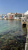 noam_alon1 Altpins Profile Picture