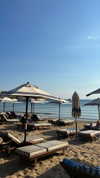 noam_alon1 Altpins Profile Picture