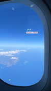 noam_alon1 Altpins Profile Picture