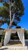 noam_alon1 Altpins Profile Picture