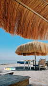 noam_alon1 Altpins Profile Picture