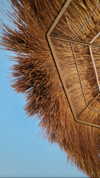 noam_alon1 Altpins Profile Picture