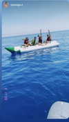 noam_alon1 Altpins Profile Picture