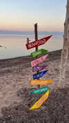 noam_alon1 Altpins Profile Picture