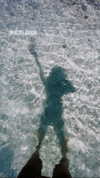 noam_alon1 Altpins Profile Picture