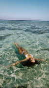 noam_alon1 Altpins Profile Picture