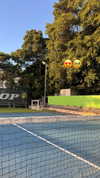 noam_alon1 Altpins Profile Picture