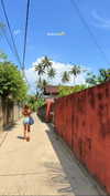 noam_alon1 Altpins Profile Picture