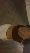 noam_fogel40 Altpins Profile Picture