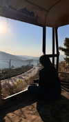 noam_fogel40 Altpins Profile Picture