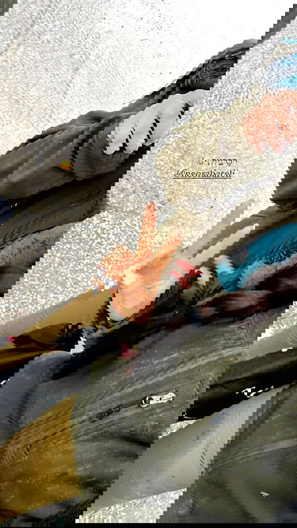 noammalka___ noammalka___ archive image