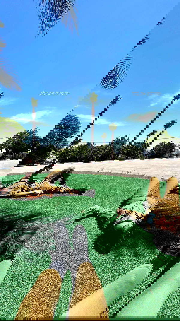 noammalka___ noammalka___ archive image