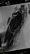 nocturnal__tattoo Altpins Profile Picture