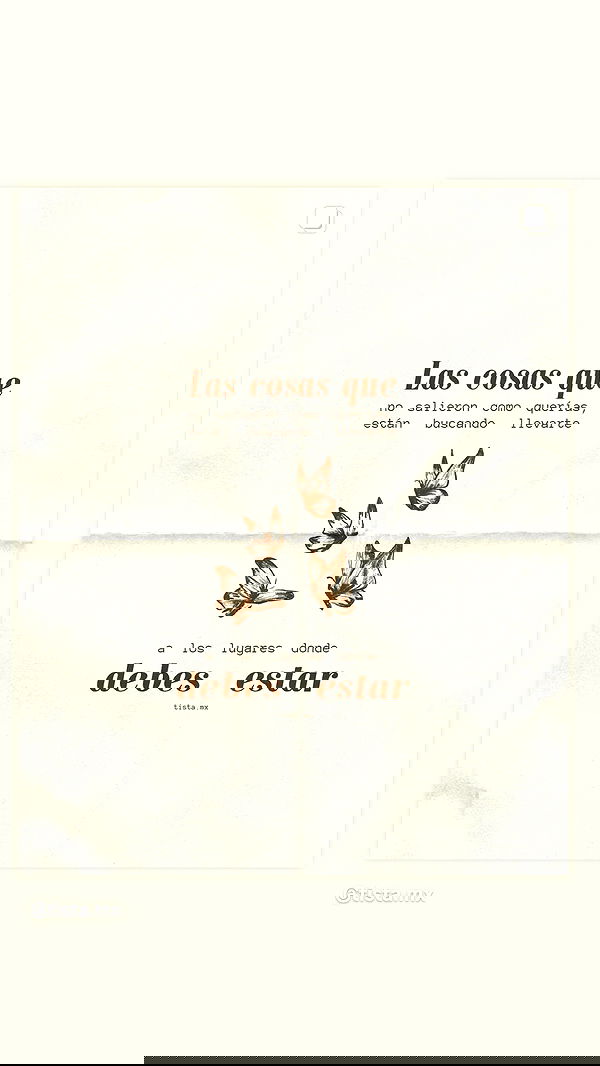 noeemiimii noeemiimii archive image