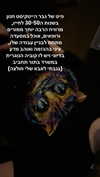 nogz666 Altpins Profile Picture