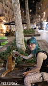 noiemacklin Altpins Profile Picture