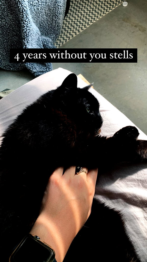 nonsalemwitch instagram image archive image