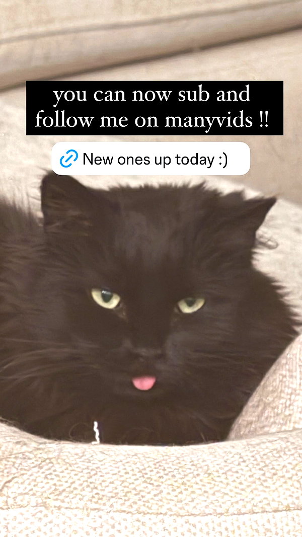 nonsalemwitch instagram image archive image