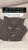 nonsalemwitch Altpins Profile Picture